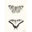 Papillons par Lori Deiter - reproduction-339920735-371850233