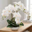 Ensemble de 3 plantes orchidées blanches, phalaenopsis réaliste de 20 pouces dans des pots ronds blancs modernes, arrangement intérieur pour n'importe quelle pièce