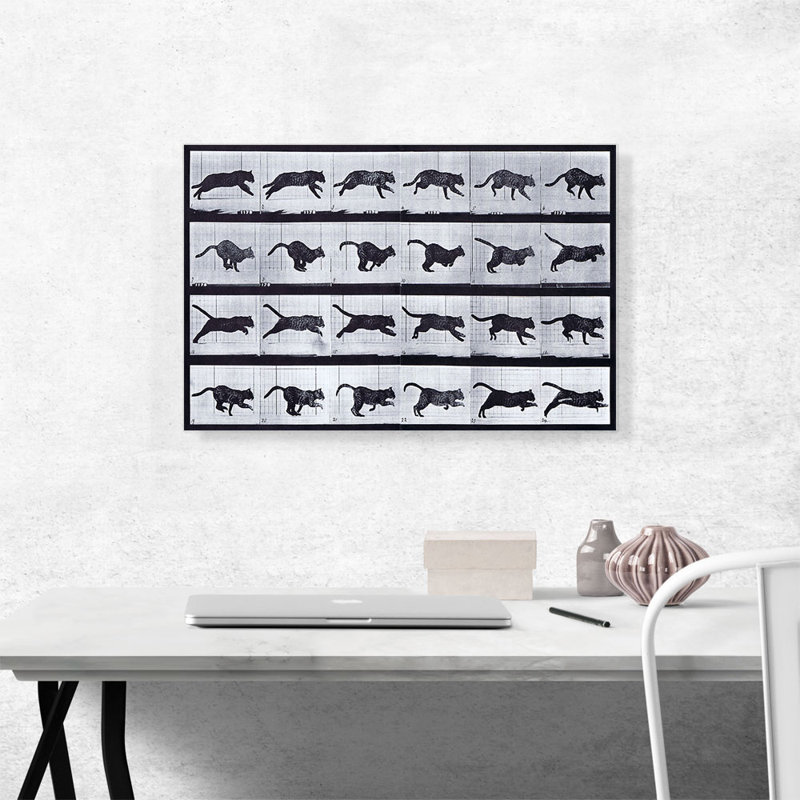 " Cat Running " by Eadweard Muybridge Painting Print, 18" H x 26" W x 0.75" D