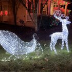 Crystal Sleigh Christmas Lighted Display & Reviews | Birch Lane