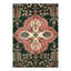 Oriental Area Rug in Green