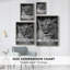 Lioness Portrait Framed Print - Solid Wood