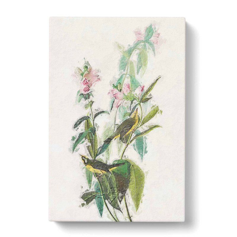 Green Black-Capt Flycatcher Bird by John Audubon - Wrapped Canvas Painting, 50cm H x 35cm W x 3cm D