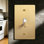 Toggle Switch