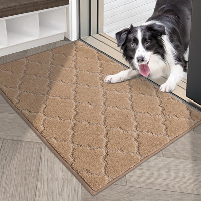 Aleman Non-Slip Doormat