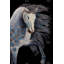 Cheval abstrait, reproduction sur toile