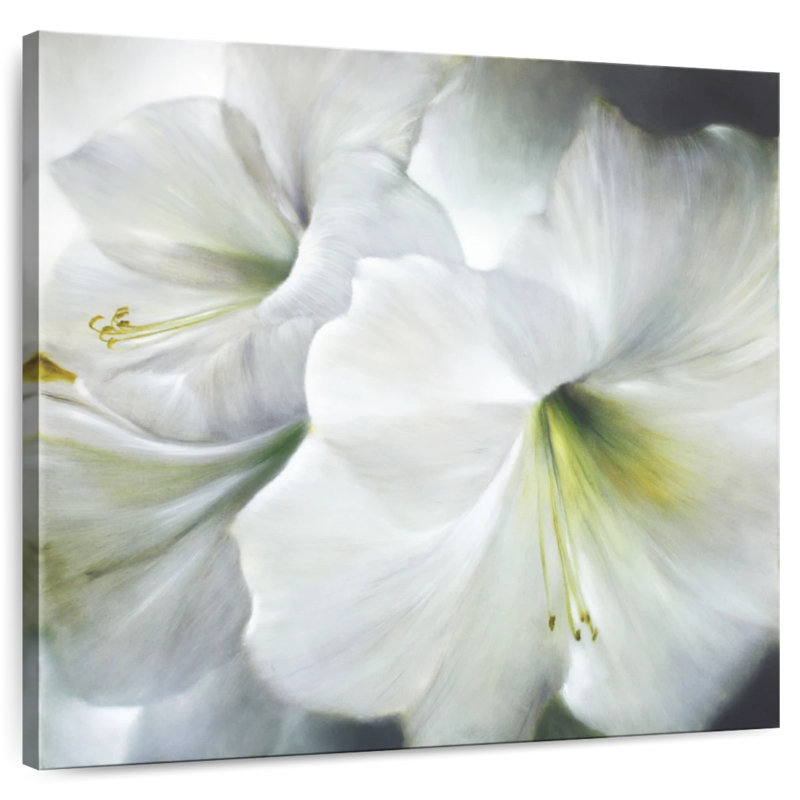 Harnek White Amaryllis II