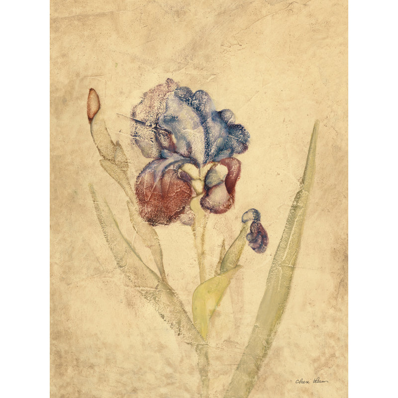 «Rose Violet Iris» par Cheri Blum - imprimé, H 16 po x l 12 po x P 1,25 po, Non, Impression avec cadre érable