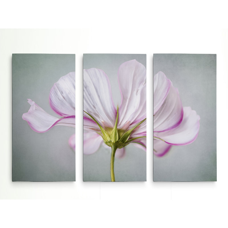 3 - Pieces, 24" H x 36" W x 1.5" D
