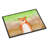 Non-Slip Outdoor Doormat-38444076