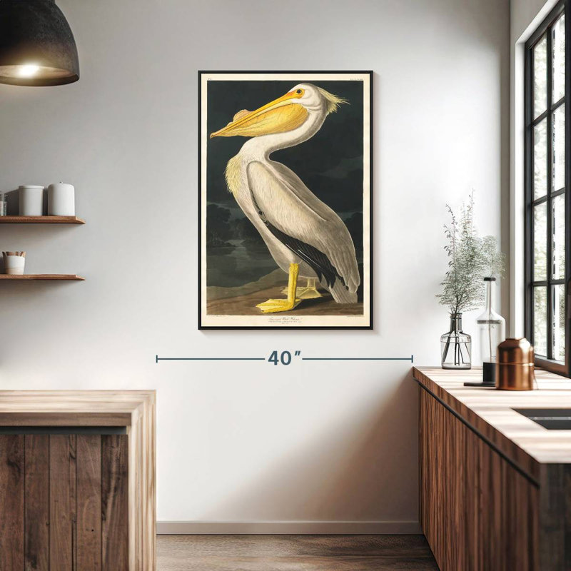 Pélican d'Amérique des oiseaux d'Amérique, 27 po x 40 po, Cadre flottant noir