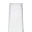 Empire Champagne Flutes