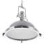 Wivenhoe 1 - Light Silver Dome Pendant