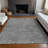 Premium Machine Washable Prisco Gray Rug-1919618878