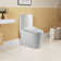 BRABOL  Compact One Piece Toilet 12" Rough-in, Elongated Toilet Floor Mounted Dual Flush 1.1/1.6 GPF & MAP 1000g, Space Saver Design(Seat Included) Optional Color