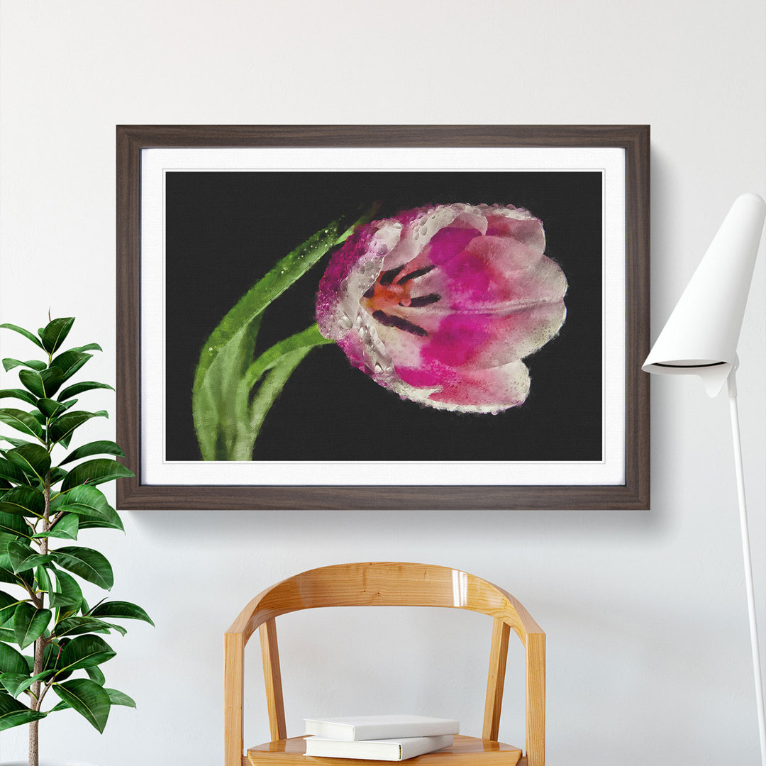 Pink Tulip - Single Picture Frame Print on MDF