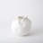 Cascading Reef Vase-White-Short