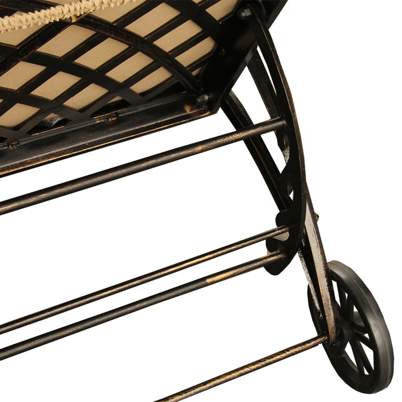 Cashin Outdoor Chaise Lounge