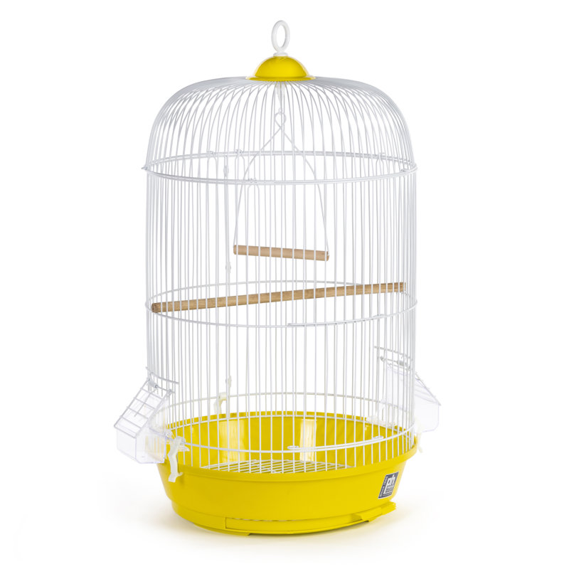 Cage à oiseaux suspendue avec dôme en plastique 24 po Ciani, Jaune