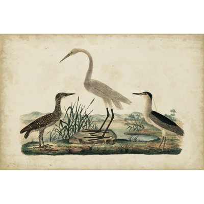 Great White Heron & Night Heron 1 Piece Wrapped Canvas Wall Art