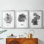 B&W Plante d'intérieur I - Impression encadrée sur mesure de qualité supérieure - 3 pièces-1042951777-1042951779