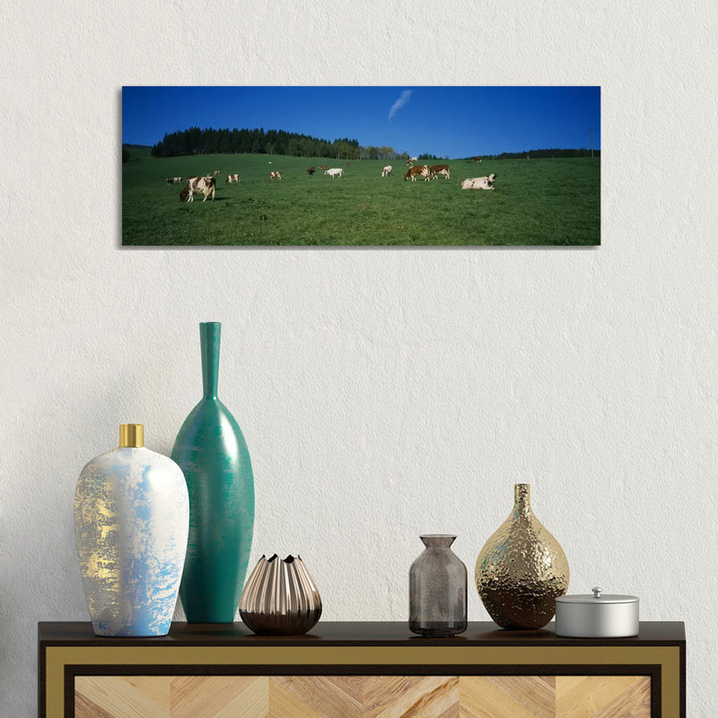 Herd Of Cows Grazing In A Field, St. Peter, Black Forest, Germany - Wrapped Canvas Panoramic Print