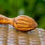 Presse-gouttes en bois d'olivier