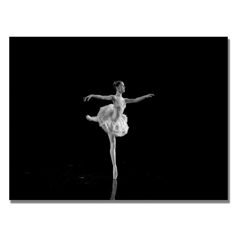 Elegant Ballerina Canvas Wall Art in Wooden Frame