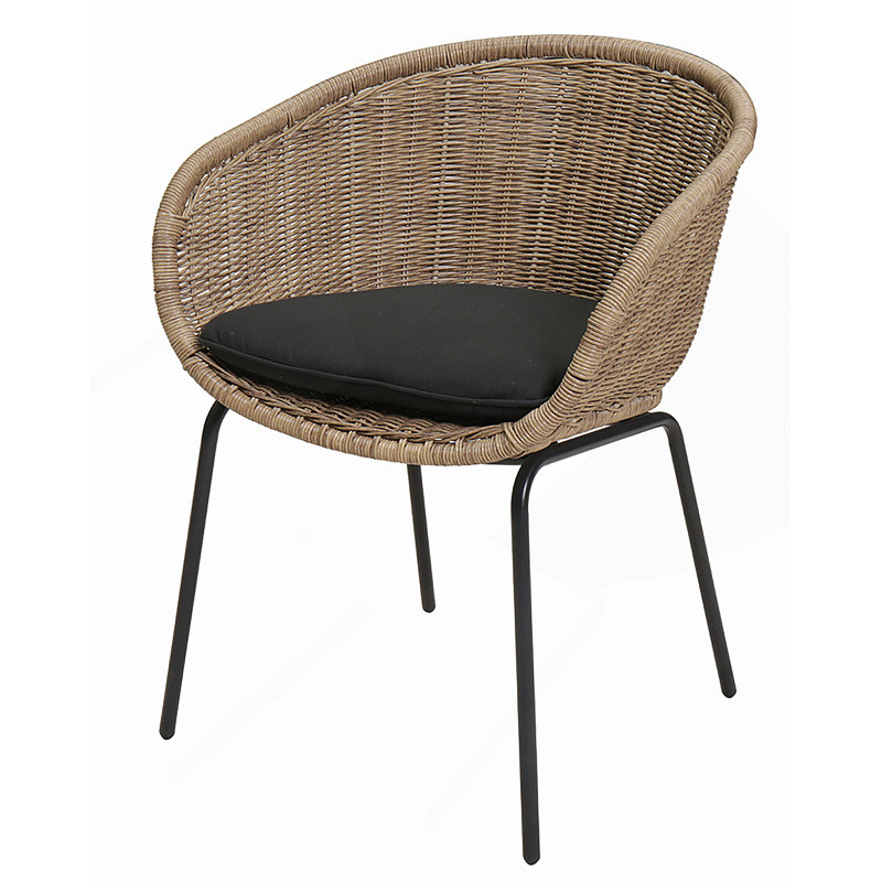 Ensemble de 2 chaises d'extérieur résistantes aux intempéries en rotin avec coussin