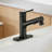 Single Handle Single Hole Bathroom Faucet With With Pull Out Sprayer, Drain Assembly-119623777
