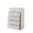 Esther White & Silver High Gloss Chest