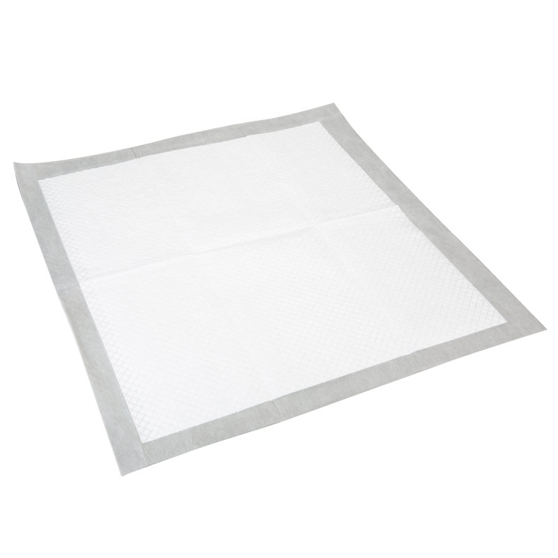 Pack de tapis d'entraînement pour chien