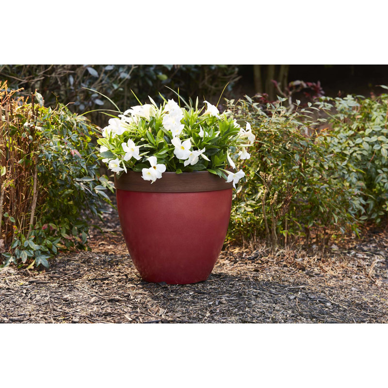 Hornsby Outdoor Pot Planter, Red