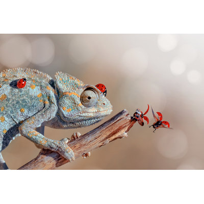 Chameleon