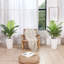 Palmier artificiel de 3 pi Adcock, plante artificielle pour la maison et le bureau, faux arbre d'intérieur et d'extérieur-901752208