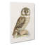 Boreal Owl by Von Wright - Wrapped Canvas-55362362