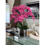 Orchidée en fleurs dans un vase-68766511