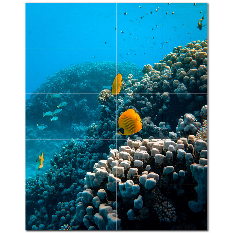 Coral Photo 8'' x 8'' Satin Ceramic Decorative Mural
