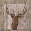 " Majestic Deer " by Tava Studios-64175926-64175931