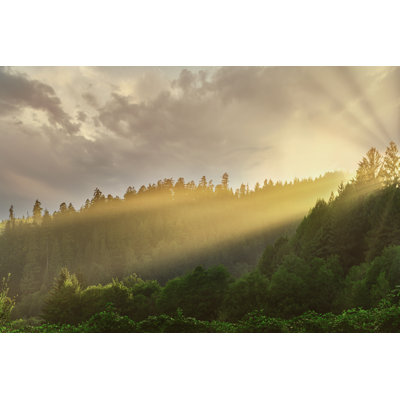 Beautiful Sunrise by Hadelproductions