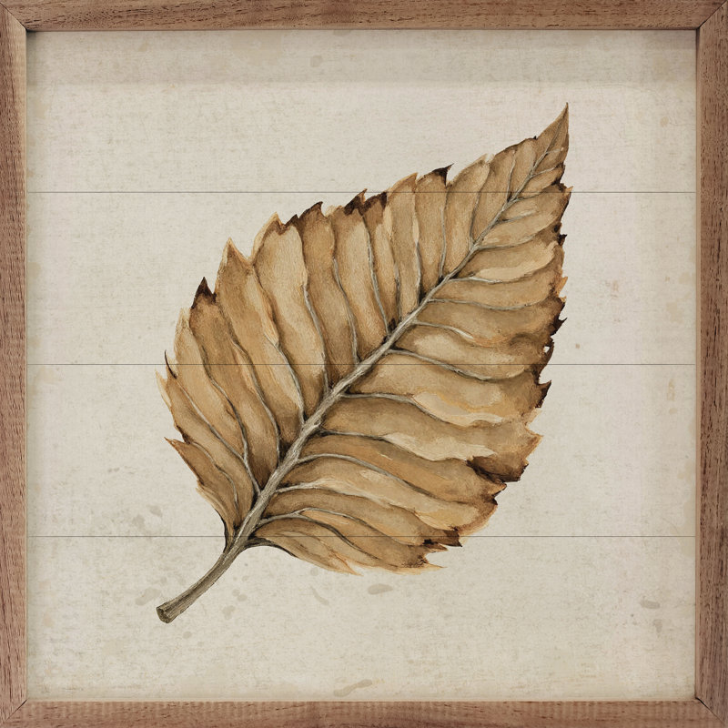 Beech Leaf, 12" H x 12" W
