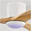 Ventilateur de plafond de 52 po avec pales en bois massif avec lumière avec télécommande, moteur réversible silencieux, 6 vitesses, pour salon de patio, chambre à coucher, intérieur (blanc mat + naturel)