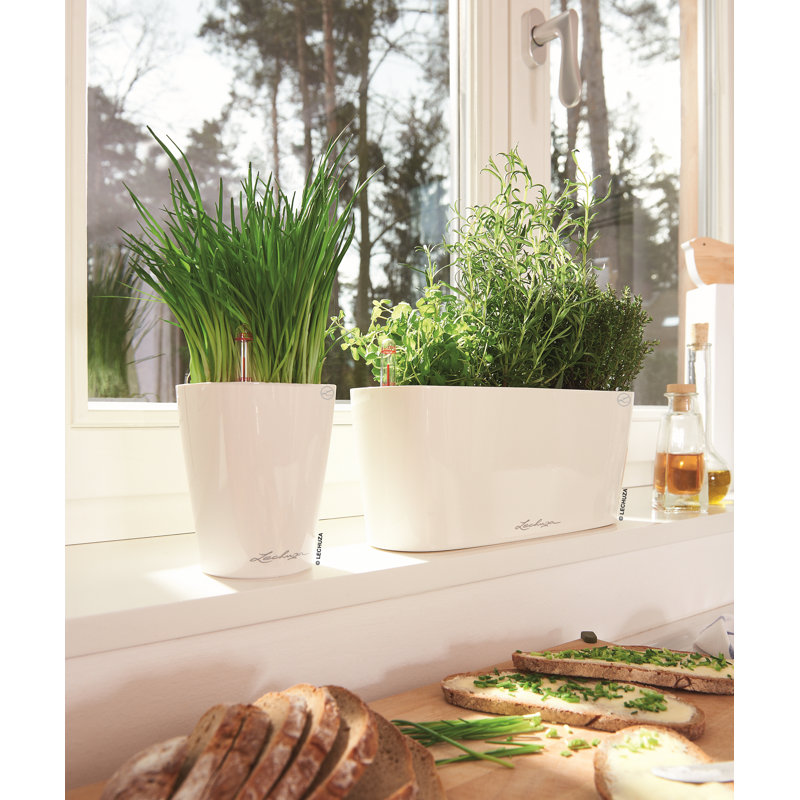 Delta Premium Window Box Planter, White, 13cm H x 30cm W x 11cm D