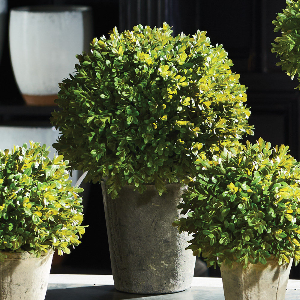 Cumbie 13.5'' Faux Boxwood Plant in Metal Pot