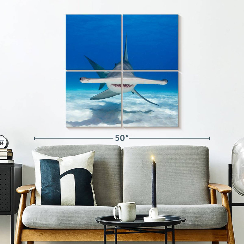 Requin-marteau Brampt nageant, H 32 po x l 32 po