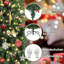210cm H Artificial Pine Christmas Tree