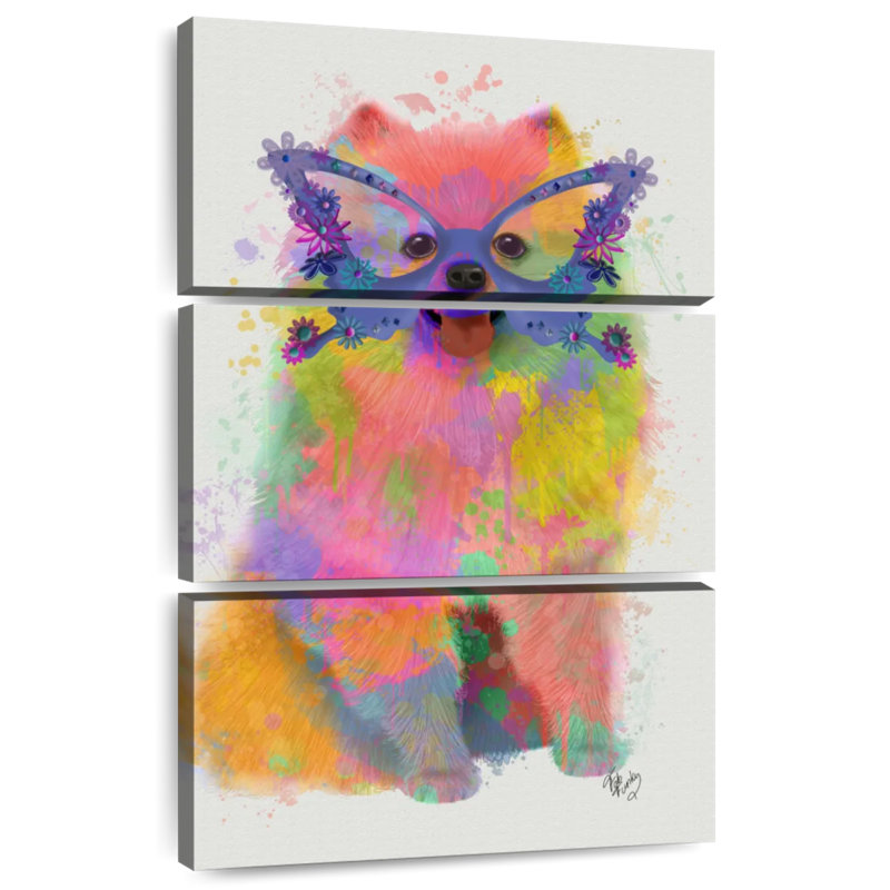 Rainbow Splash Pomeranian