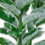 35" Potted Green Artificial Rubber Plant