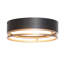 1 - Light Flush Mount