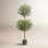 53'' Faux Olive Tree Topiary in Pot
